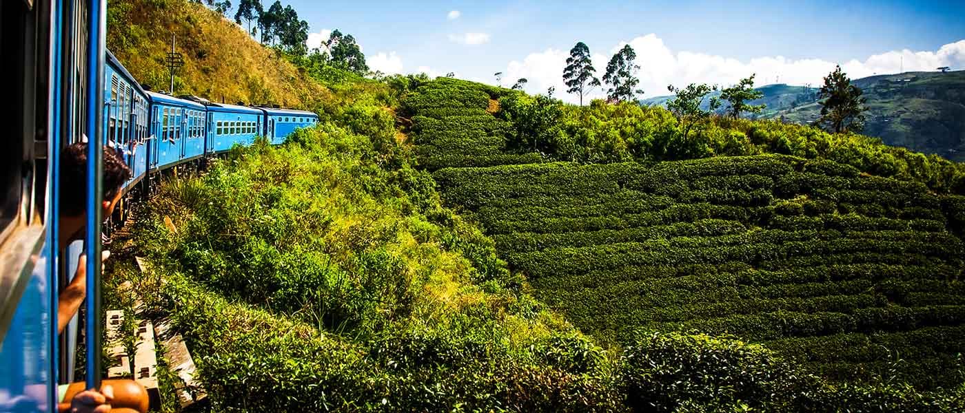 Things to do in Nuwara Eliya & How can I get there