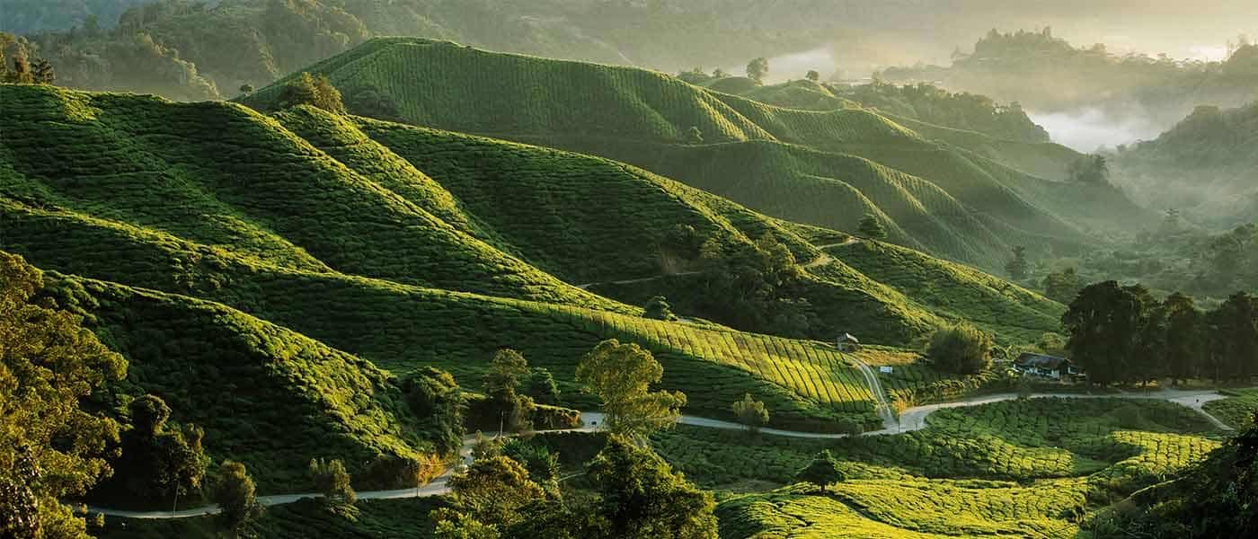 Kuala Lumpur to Cameron Highlands