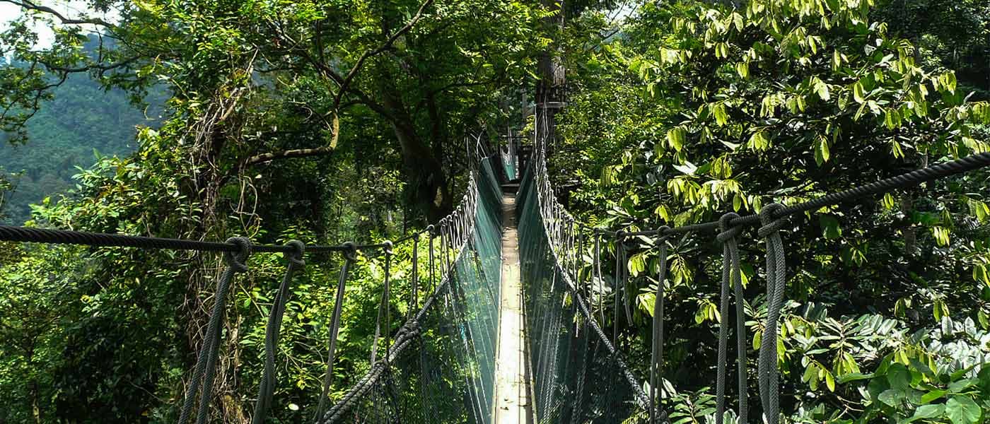 Taman Negara