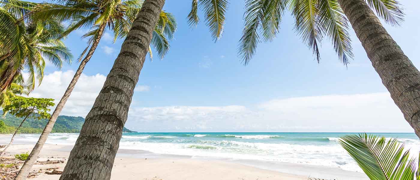 Discover Costa Rica: A Pura Vida Travel Guide