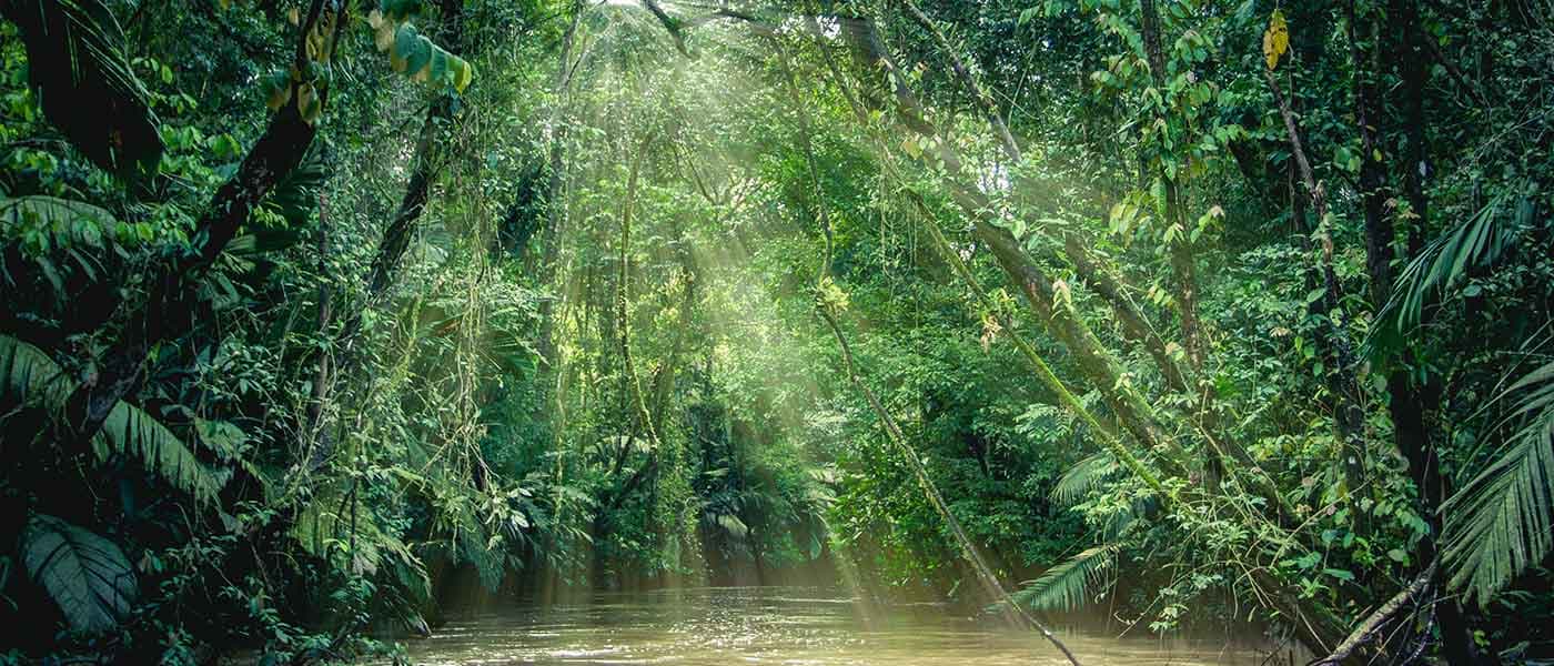The Ultimate Tortuguero Travel Guide