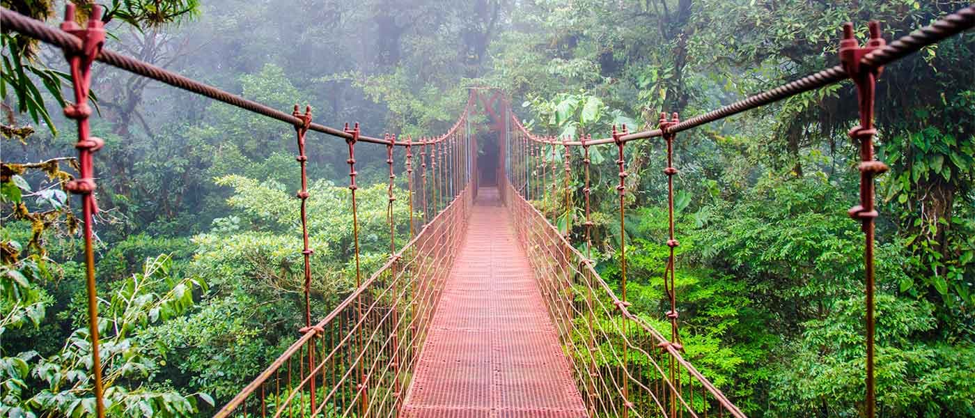 14 best things to do in Monteverde