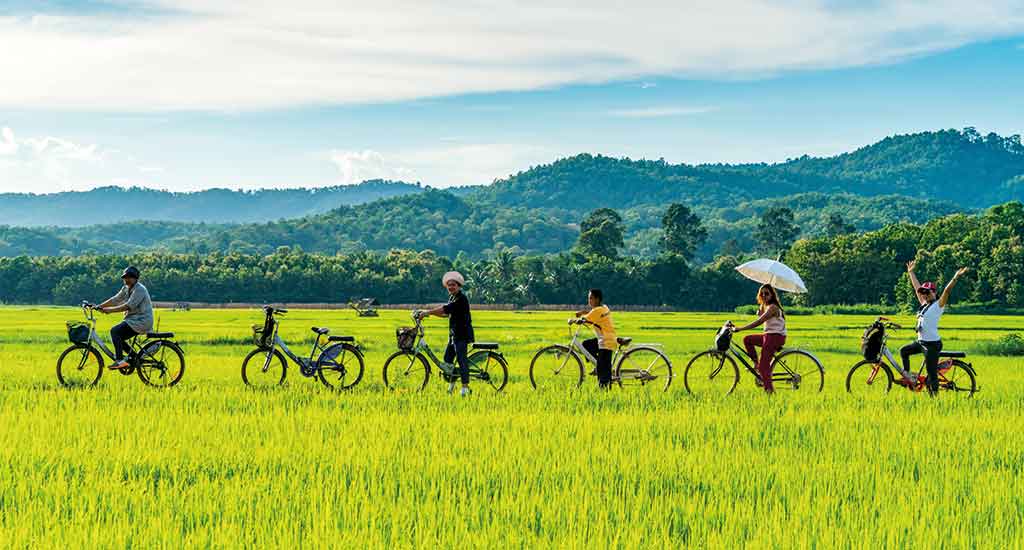 Bicycle tour in Sukhothai