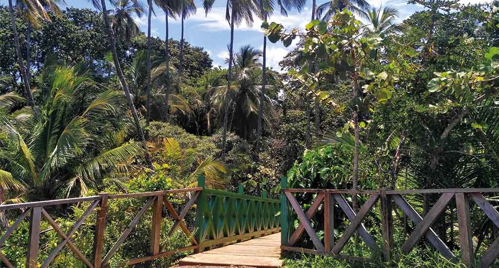 Gandoca Manzanillo wildlife refuge in Costa Rica