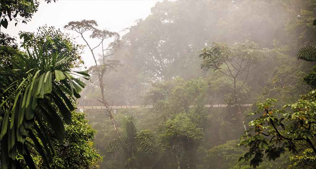 View of the hanging bridge in La Fortuna Costa Rica