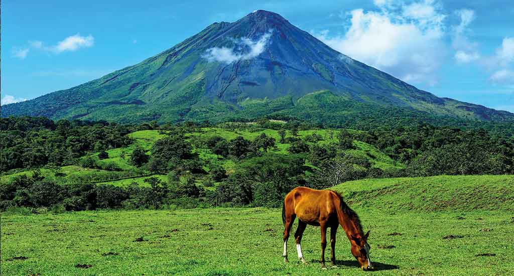 Horse and Arenal Volcano in La Fortuna Costa Rica