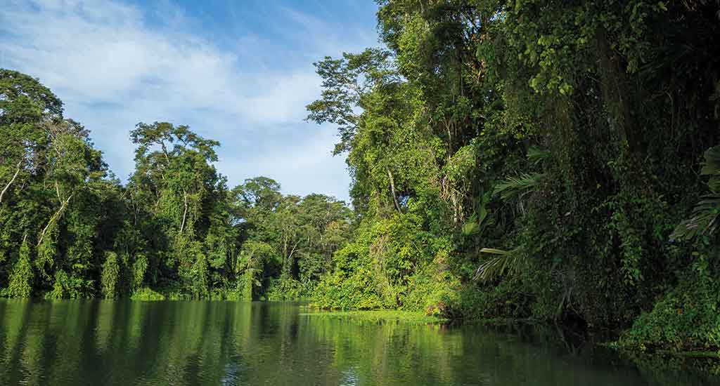 River in Costa Rica