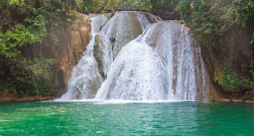 Roberto Barrios in Palenque Mexico