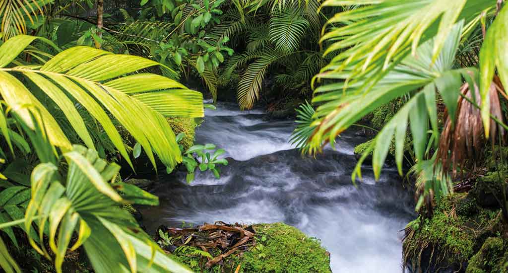 Thermal pools in La Fortuna Costa Rica