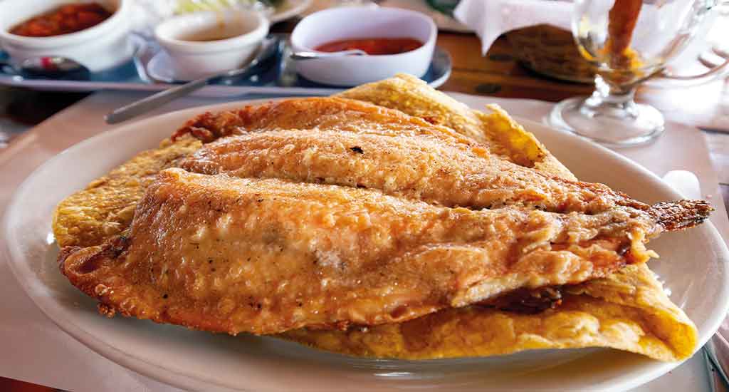 Fried trout