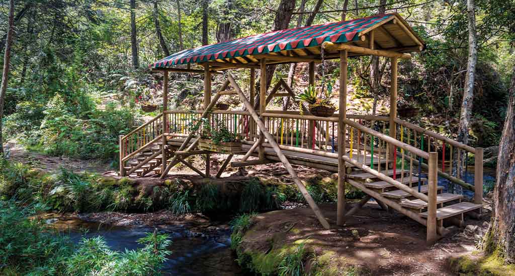 Bridge in Park Arvi