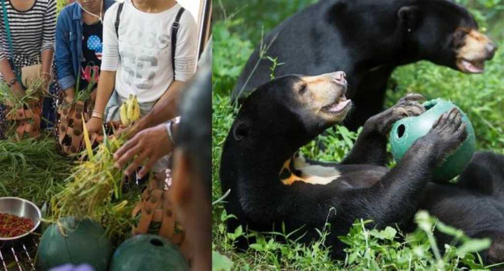 Giving food for the bears in wildlife rescue in Phnom Penh